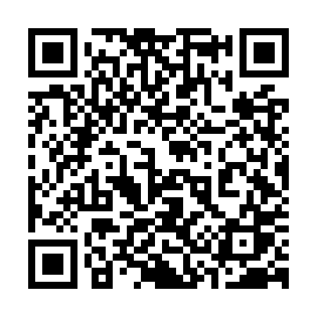 QR code for 336OPS