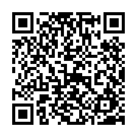 QR code for 336PBN