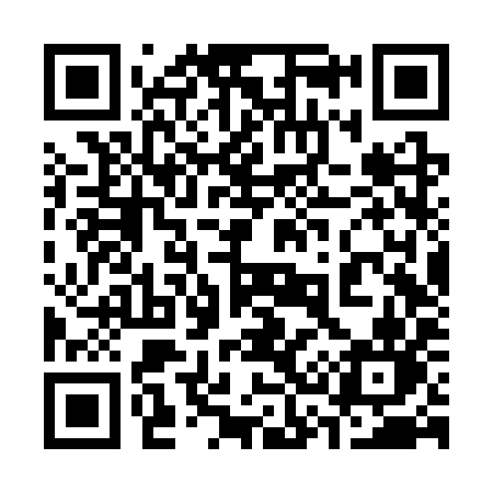 QR code for 336SYN