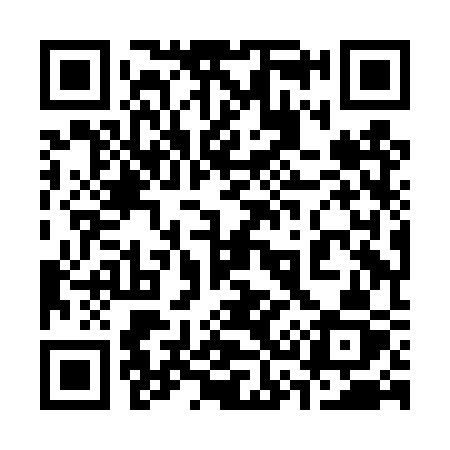 QR code for 338DSZ