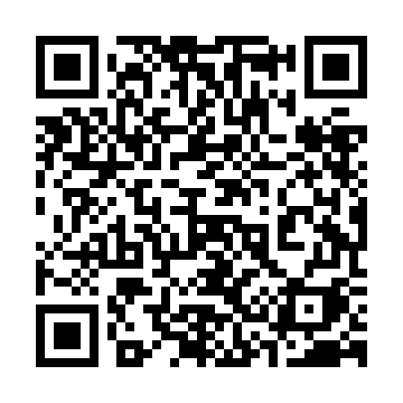 QR code for 338JGI