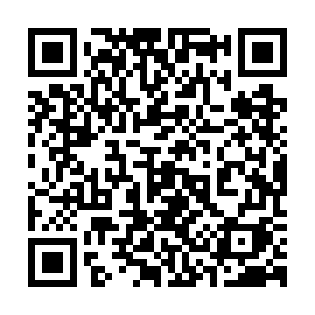 QR code for 338WGI