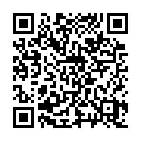 QR code for 339CRX