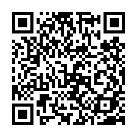 QR code for 339DPI