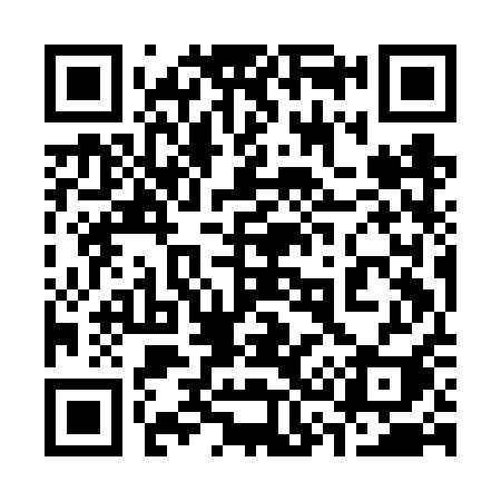 QR code for 339FQI