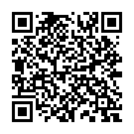 QR code for 339RPE