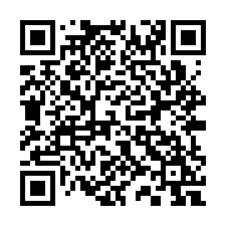 QR code for 339SXM