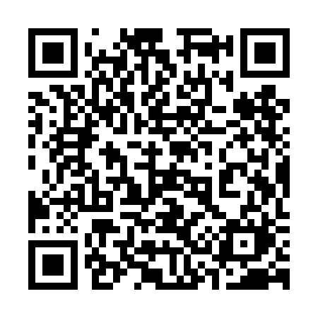 QR code for 339TBM