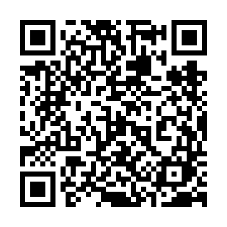 QR code for 339VDM