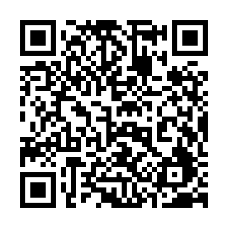 QR code for 339XRF