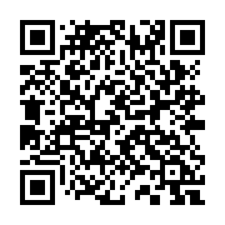 QR code for 339ZEF