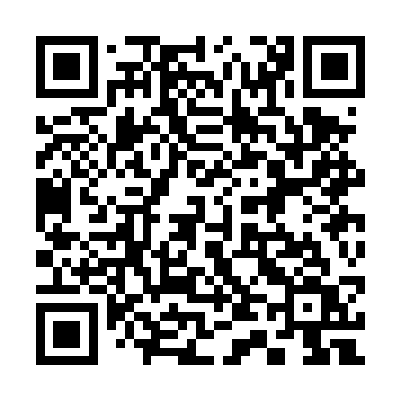 QR code for 343DSV