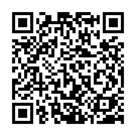 QR code for 355MSI