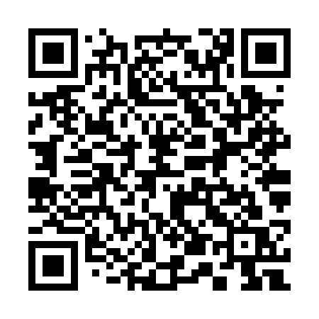 QR code for 356PSS