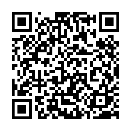QR code for 357PAS