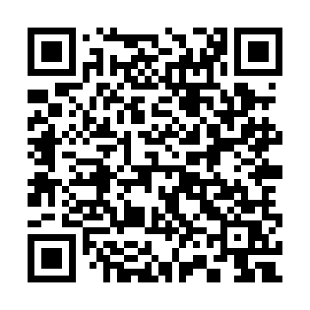 QR code for 368PMS