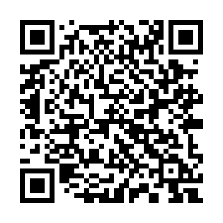 QR code for 369PID