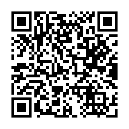 QR code for 369QLQ