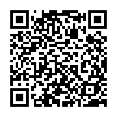 QR code for 369QMI