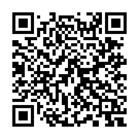 QR code for 370DFP