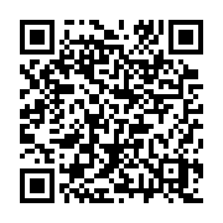 QR code for 370SSX