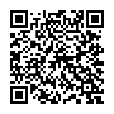 QR code for 374TDM