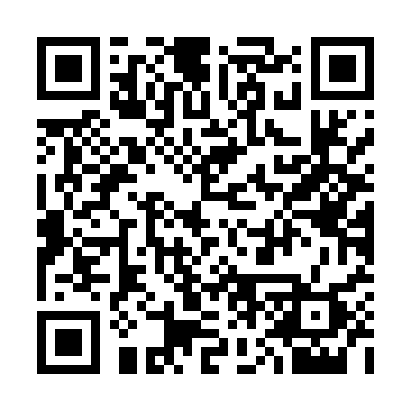QR code for 375MSP