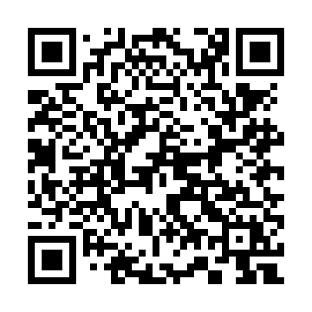 QR code for 375NEX