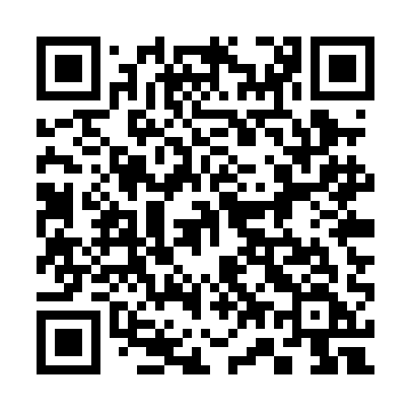 QR code for 375PAF