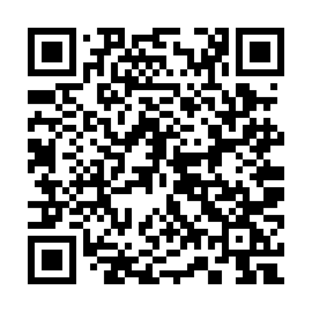 QR code for 376PNG