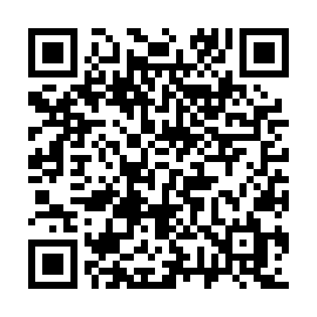 QR code for 376PNL