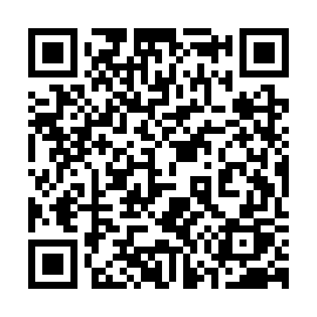 QR code for 379CWP