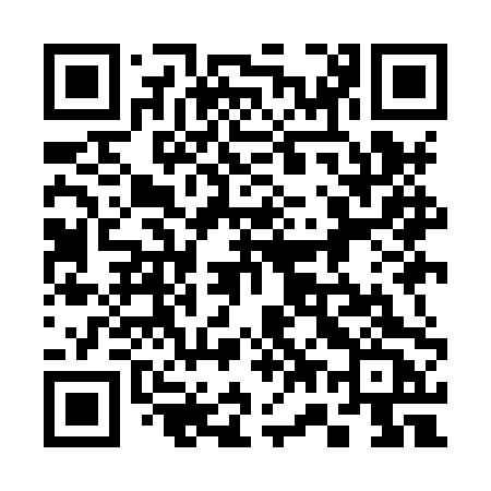 QR code for 379HPC