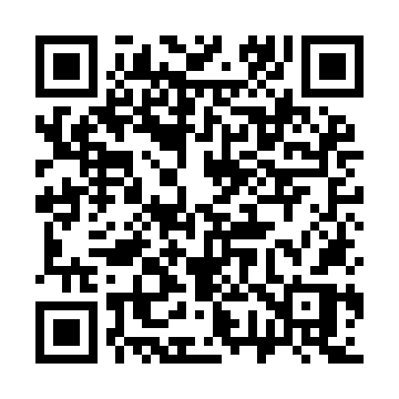 QR code for 379INR