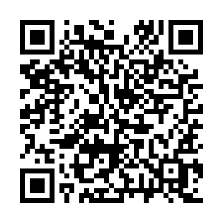 QR code for 379PIF