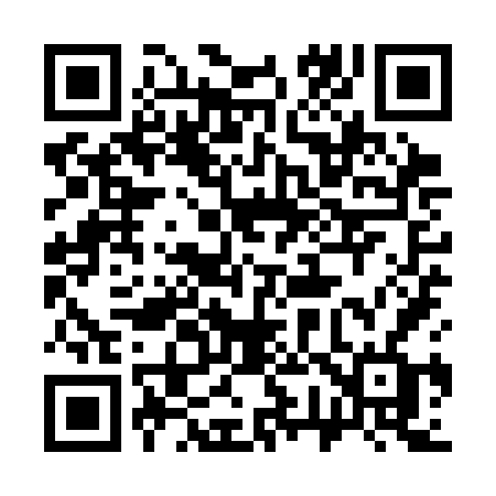 QR code for 379SFF
