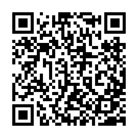 QR code for 380BLP