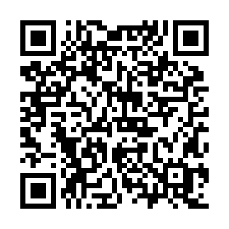 QR code for 380ZLG