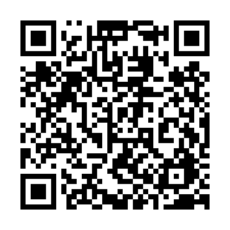 QR code for 381DRG