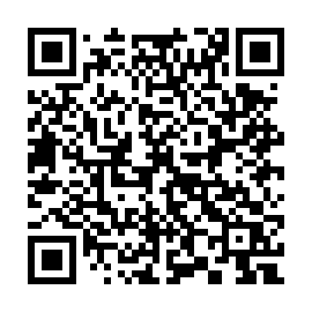 QR code for 381DVR