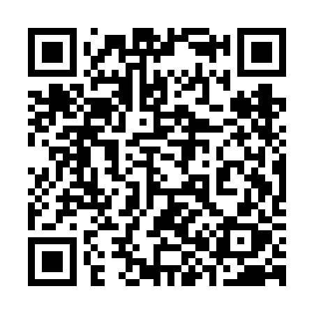 QR code for 381FBX