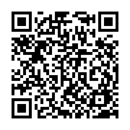QR code for 381IGG