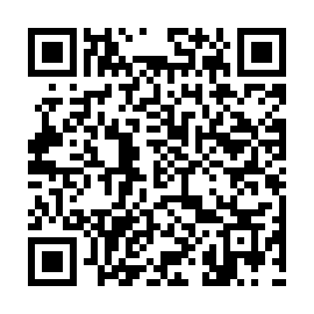 QR code for 381MCS