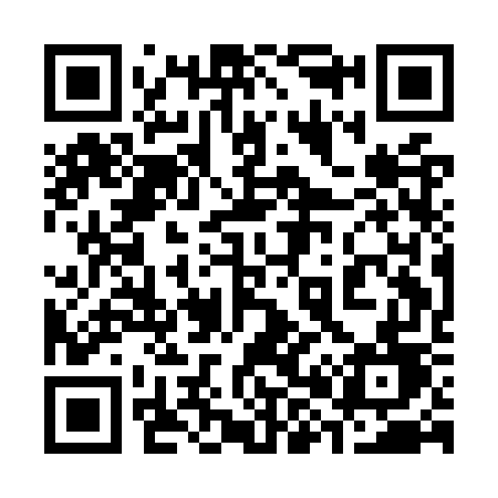 QR code for 381OWD