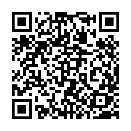 QR code for 381PLX
