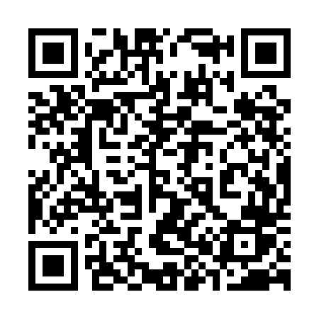 QR code for 381QDR