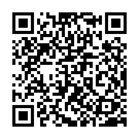 QR code for 381QRY