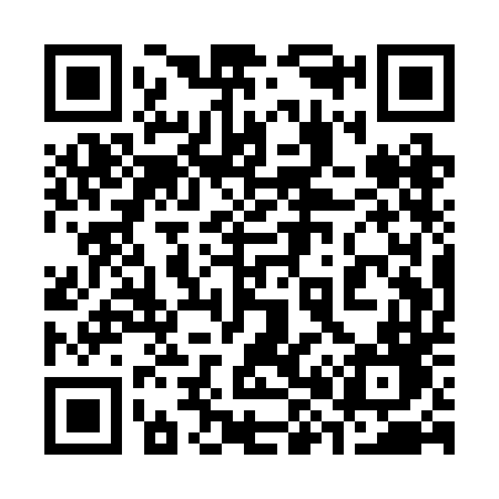 QR code for 381RDD