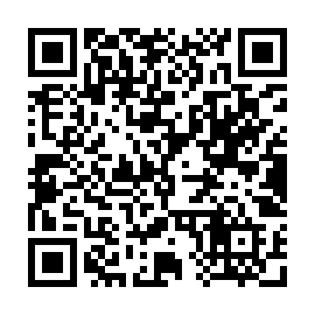 QR code for 381YZD