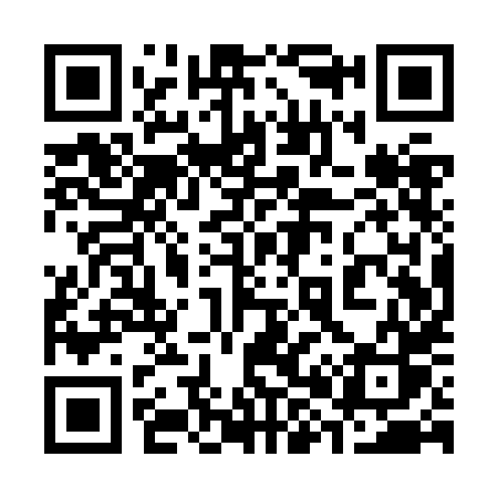 QR code for 381ZHS